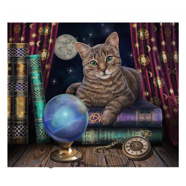 FORTUNE TELLER