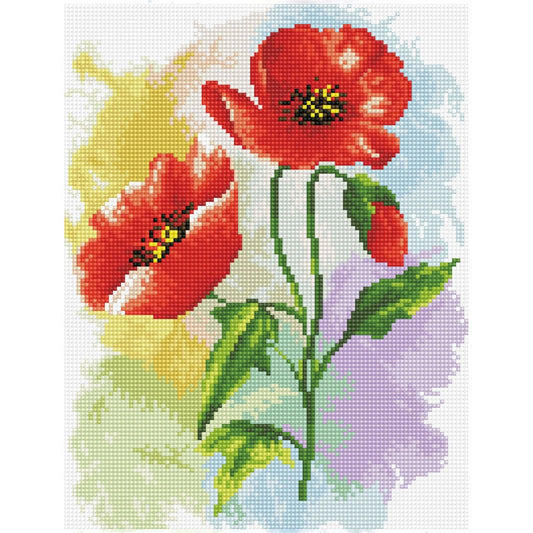 POPPPY POSTER - SQUARE