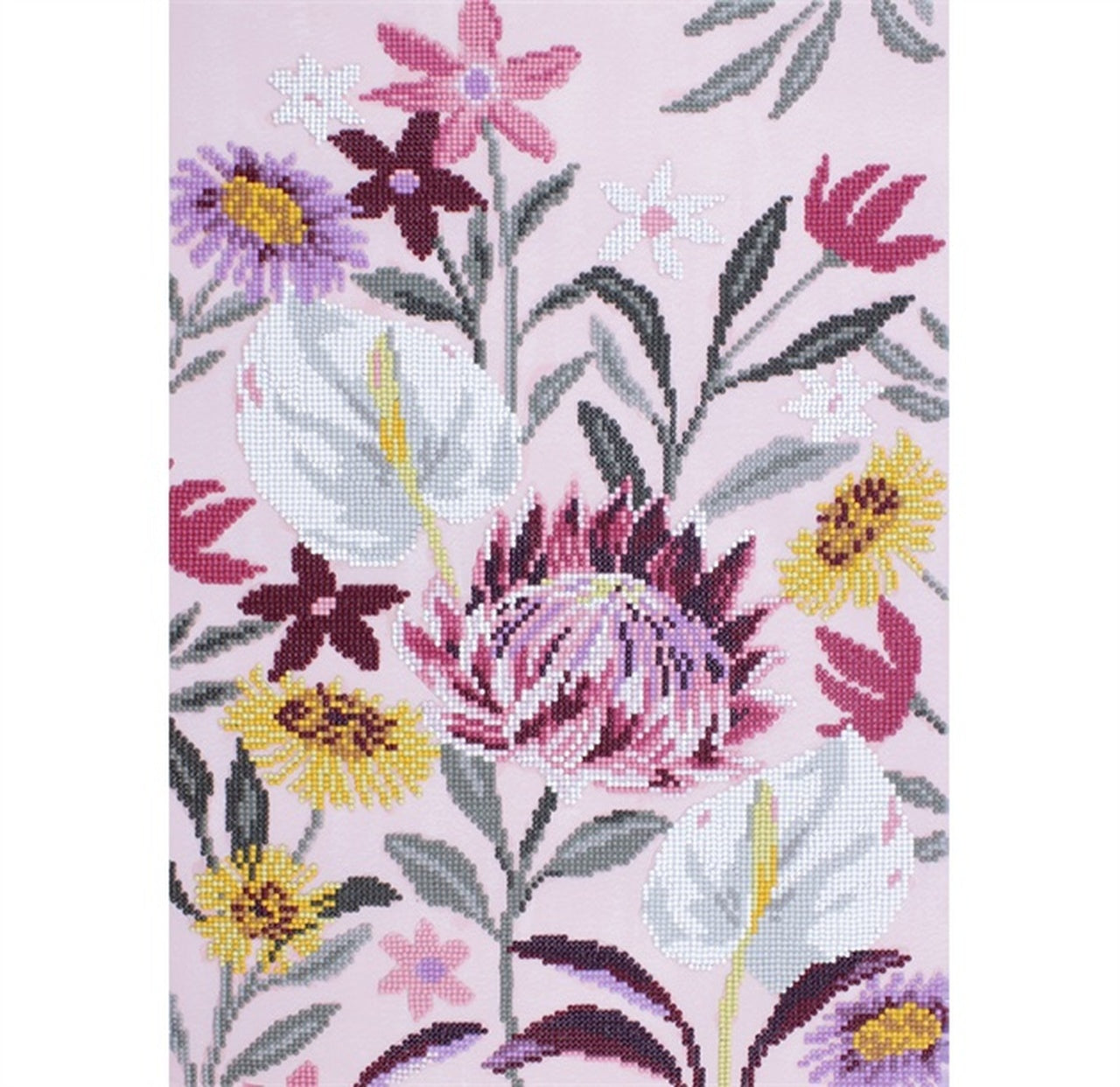 PROTEA IN PASTEL