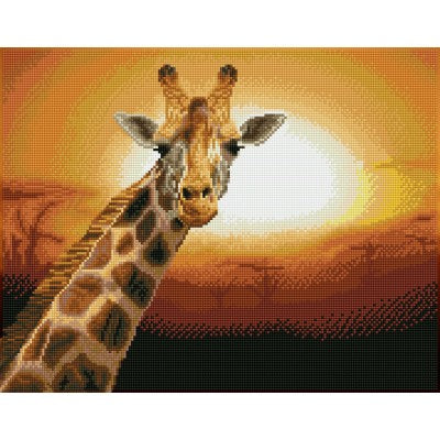 SUNSET GIRAFFE AMBOSELI NATIONAL PARK, KENYA - SQUARE