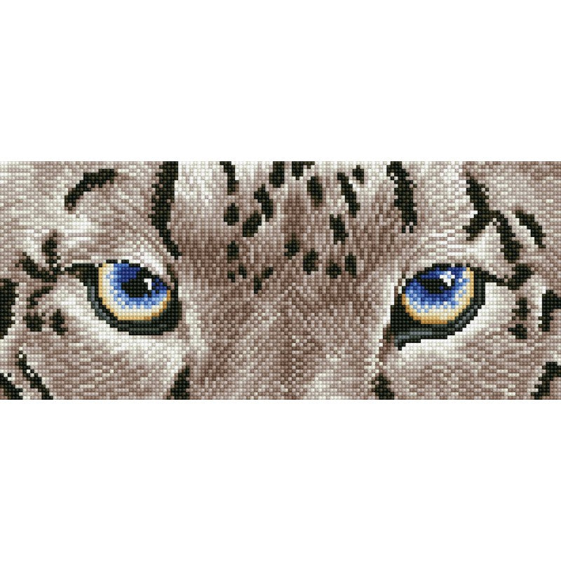 SNOW LEOPARD SPY