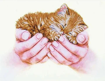 PRECIOUS KITTEN