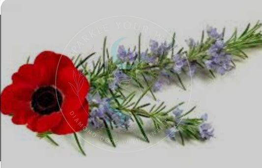 ROSEMARY & POPPY