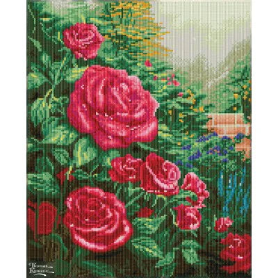 A PERFECT RED ROSE