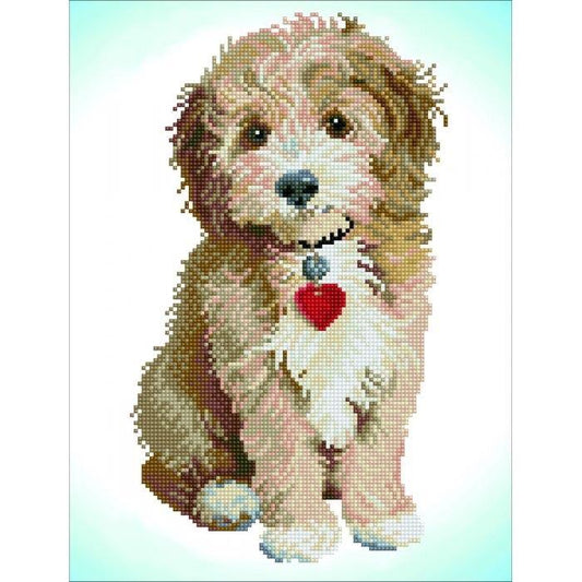 LOVELY BOY
