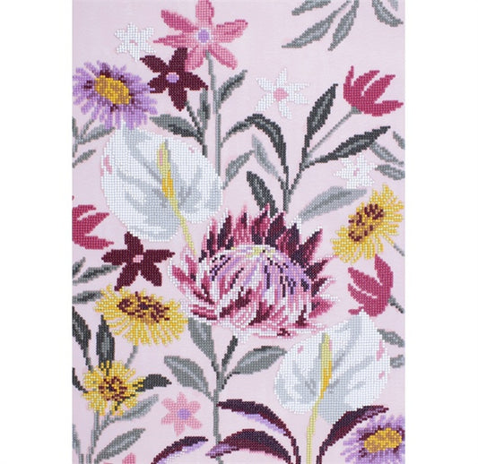 PROTEA IN PASTEL