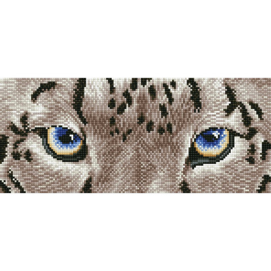 SNOW LEOPARD SPY