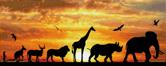 AFRICAN SKY