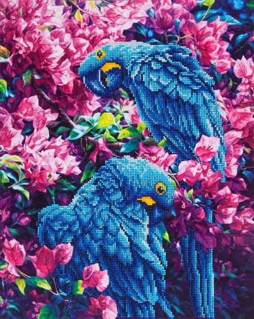 BLUE PARROTS