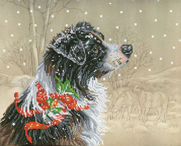 CHRISTMAS COLLIE