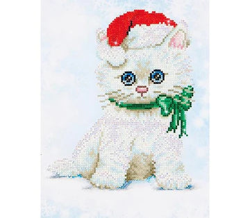 CHRISSY KITTY