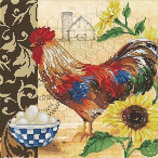 COUNTRY ROOSTER