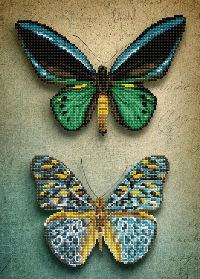 ANTIQUE BUTTERFLIES