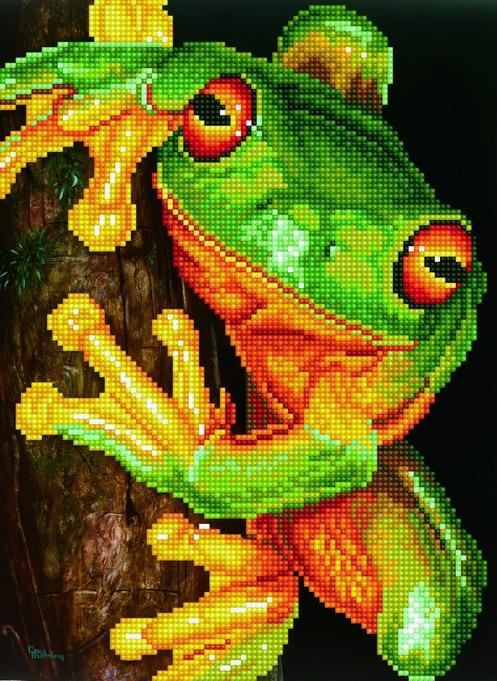 GREEN TREE FROG