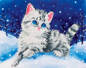 KITTY IN THE SNOW