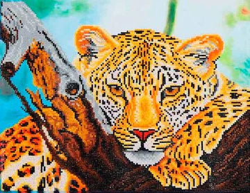 LEOPARD LOOK