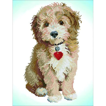 LOVELY BOY