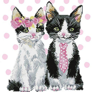 MR AND MRS PINK