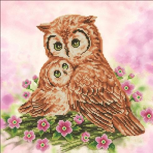 MOTHER AND BABY OWL