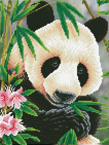 PANDA PRINCE