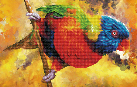 RAINBOW PERCH