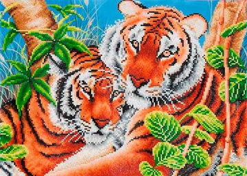 TENDER TIGERS