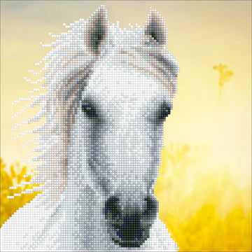 WHITE HORSE
