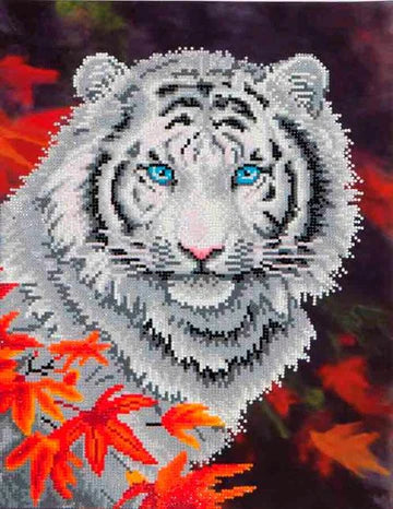 WHITE TIGER IN AUTUMN