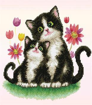 KITTY SONG