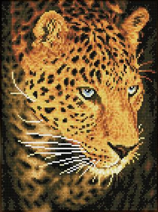 LEOPARD PORTRAIT